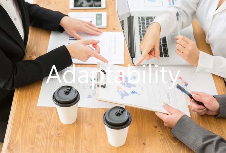 Adaptability
